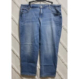 Time and True Med Wash Straight Fit Jeans Size 20 Petite